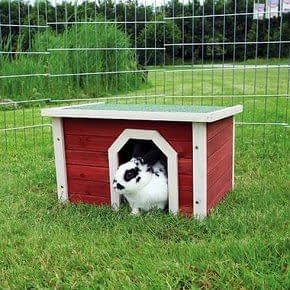 Parel Nebu rand Ruim aanbod aan konijnen benodigdheden bij Pets Gifts - Pets Gifts