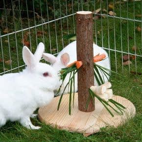 Konijnen snacks