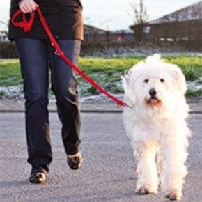 Hondenriemen Hondenriemen