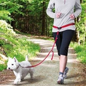 Jogginglijn Hond Jogginglijn Hond