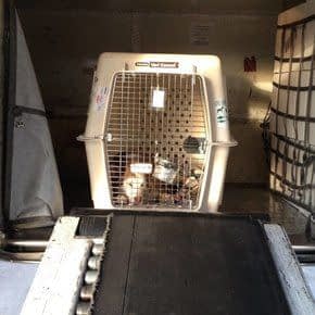 Transport Vliegtuig Transport Vliegtuig