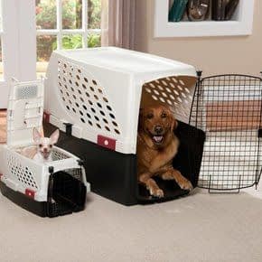 Transportbox Hond Transportbox Hond