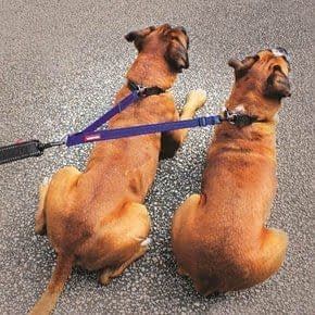 Koppelstuk voor Hondenriem Koppelstuk voor Hondenriem