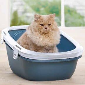 Open kattenbak Open kattenbak