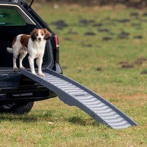 Loopplank Hond Auto Loopplank Hond Auto