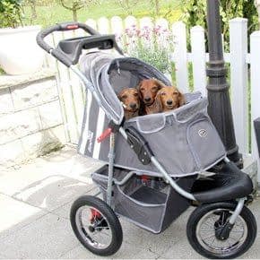 Hondenbuggy Hondenbuggy