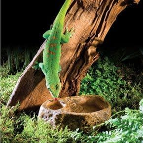 Voer en Waterschalen Voer en Waterschalen