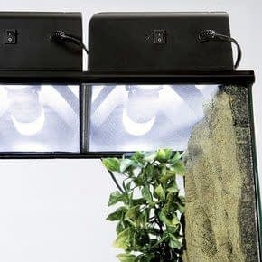 Terrarium Verlichting Terrarium Verlichting