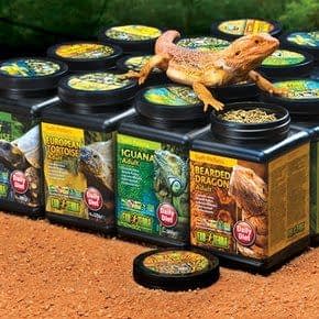 Voeding voor Reptielen Voeding voor Reptielen