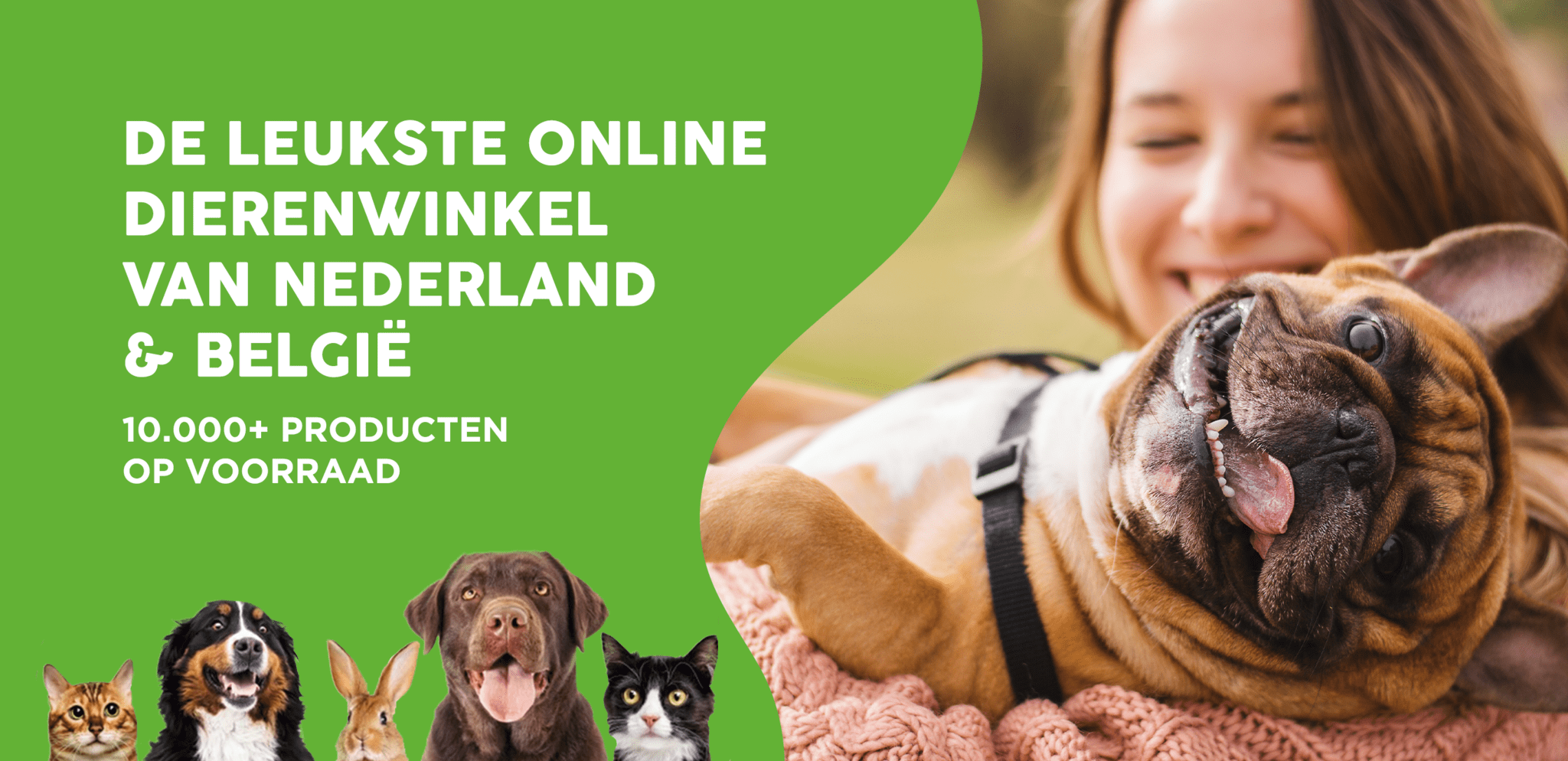 Hondenspeelgoed Online Dating