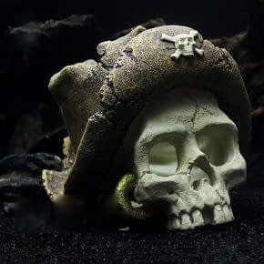 Thema Schedels en Botten