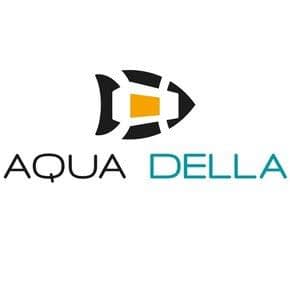 Bekijk Alle Decoraties