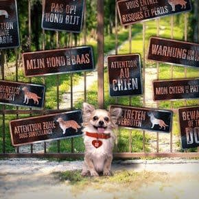 Waakborden Hond Waakborden Hond