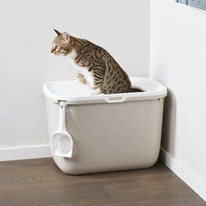 Hop in Kattenbak Hop in Kattenbak