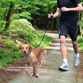 Hardlopen met de hond Hardlopen met de hond