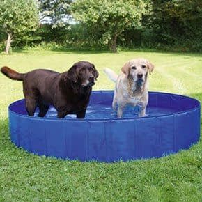 Verkoeling voor Honden Verkoeling voor Honden