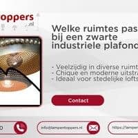 Welke ruimtes passen bij een zwarte industrieele plafondlamp?