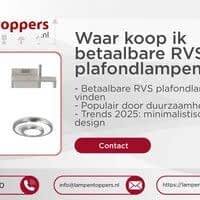 Waar koop ik betaalbare RVS plafondlampen?