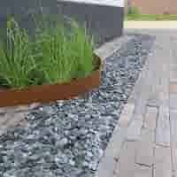 Producten van de week