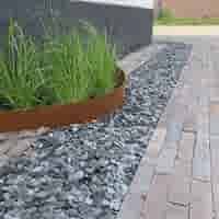 Producten van de week
