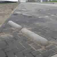 Varkensrug Varkensrug