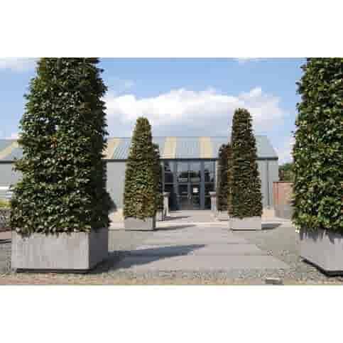 Betonnen bloembakken vierkant XL 100x100 en 100 cm hoog