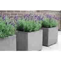 Betonnen bloembakken vierkant 50x50 en 50 cm hoog