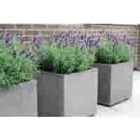 Betonnen bloembakken vierkant 60x60 en 60 cm hoog