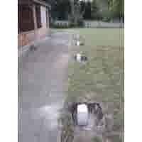 Betonpoer 15x15 en 50 cm hoog grijs M16