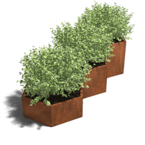 Cortenstaal plantenbak Denver special III 60 cm