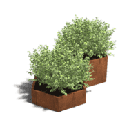 Cortenstaal plantenbak Denver special II 60 cm
