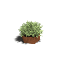 Cortenstaal plantenbak Denver 60 cm