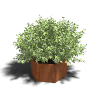 Cortenstaal plantenbak Denver 40 cm