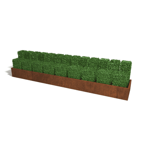 Cortenstaal plantenbak Texas XXL 480x100 cm