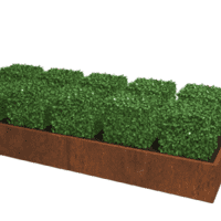 Cortenstaal plantenbak Texas XXL 320x120 cm