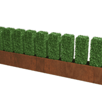 Cortenstaal plantenbak Texas XXL 320x30 cm