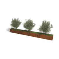 Cortenstaal plantenbak Texas XXL 480x40 cm