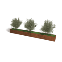 Cortenstaal plantenbak Texas XXL 480x50 cm