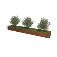 Cortenstaal plantenbak Texas XXL 480x80 cm