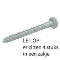 Houtdraadbout 10x110 mm - Thermisch verzinkt - Set van 4 stuks Houtdraadbout 10x110 mm - Thermisch verzinkt - Set van 4 stuks
