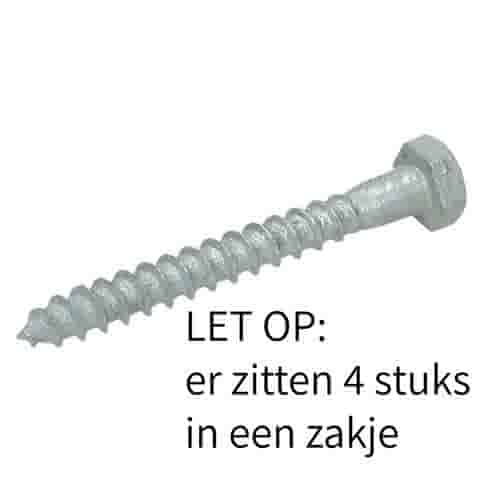 Houtdraadbout 10x110 mm - Thermisch verzinkt - Set van 4 stuks