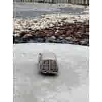 Auto van beton (merk) Mini Cooper