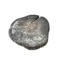 Boomschijf staptegel 30/45