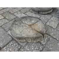 Boomschijf staptegel 30/45