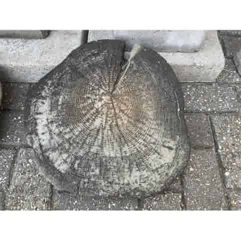 Boomschijf staptegel 30/45