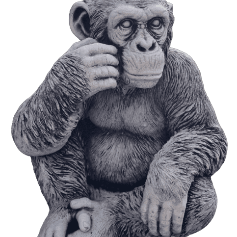 Chimpansee klein