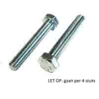 Zeskanttapbouten M10x30 mm (4 stuks)