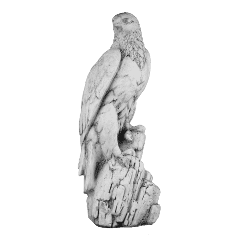 Zeearend H50 cm