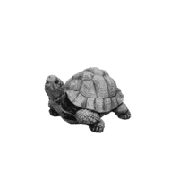 Schildpad middel