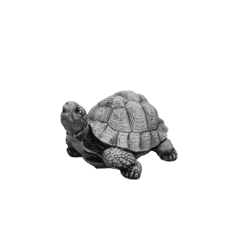 Schildpad middel